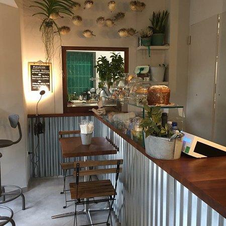 Bilancino Drogheria di Pesce